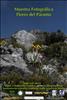 Flores del Paramo (26)